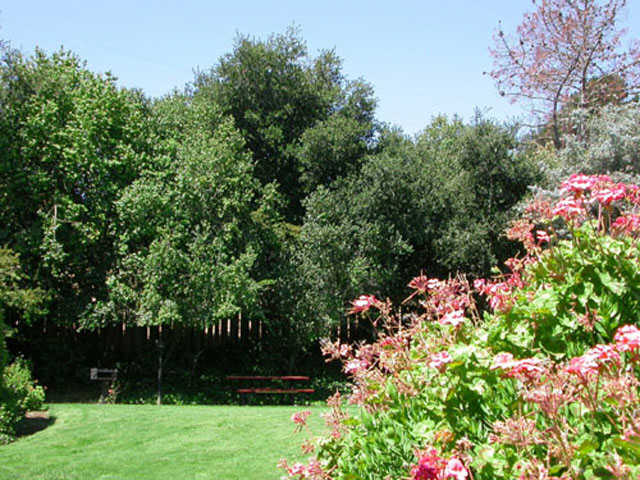 Franciscan Apartments photo 4